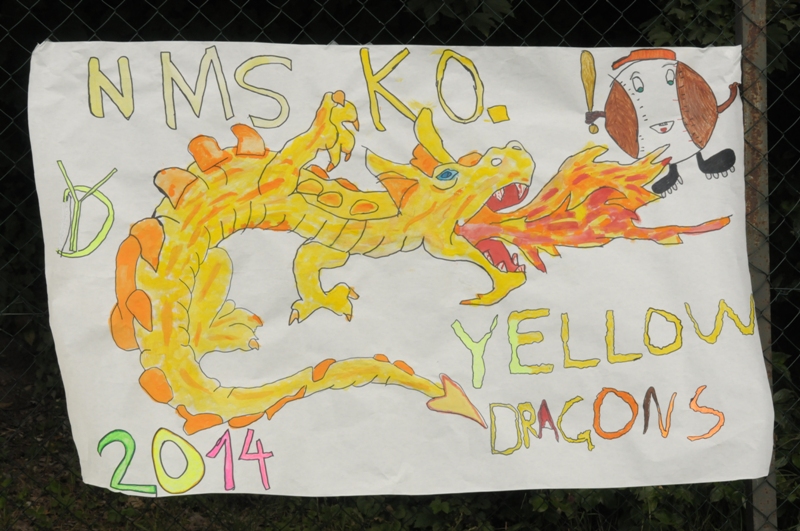 Plakat Yellow Dragons